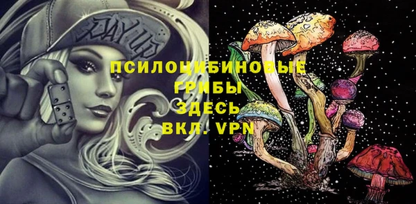 бутират Алексеевка