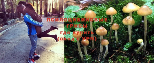 прущая мука Алексин