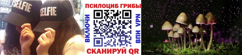 купить закладку  Канаш  Псилоцибиновые грибы Cubensis 